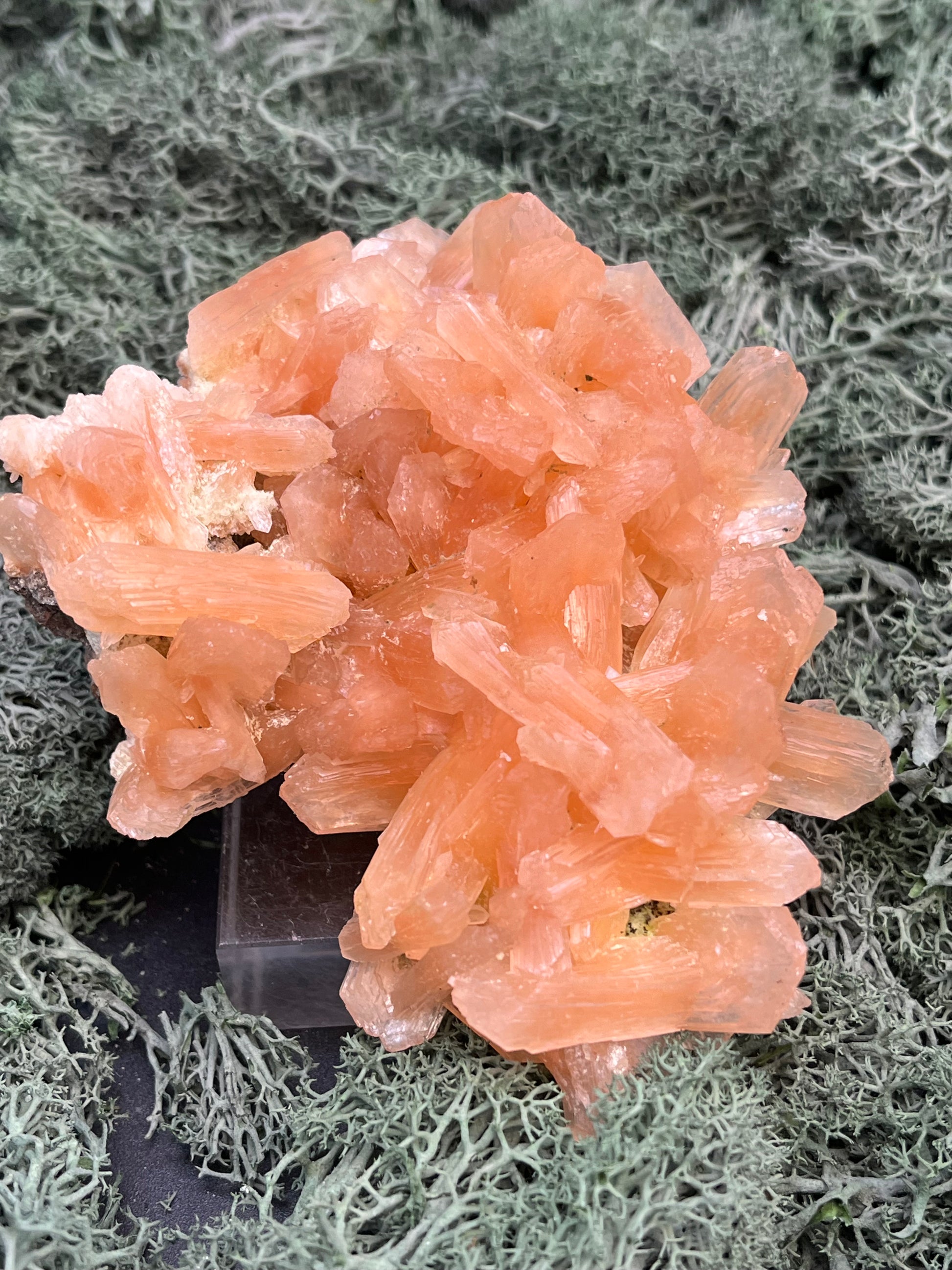 Stilbit Cluster Handstufe auf Zeolith aus Indien (195g) - viele grosse Kristalle - crystal paradise