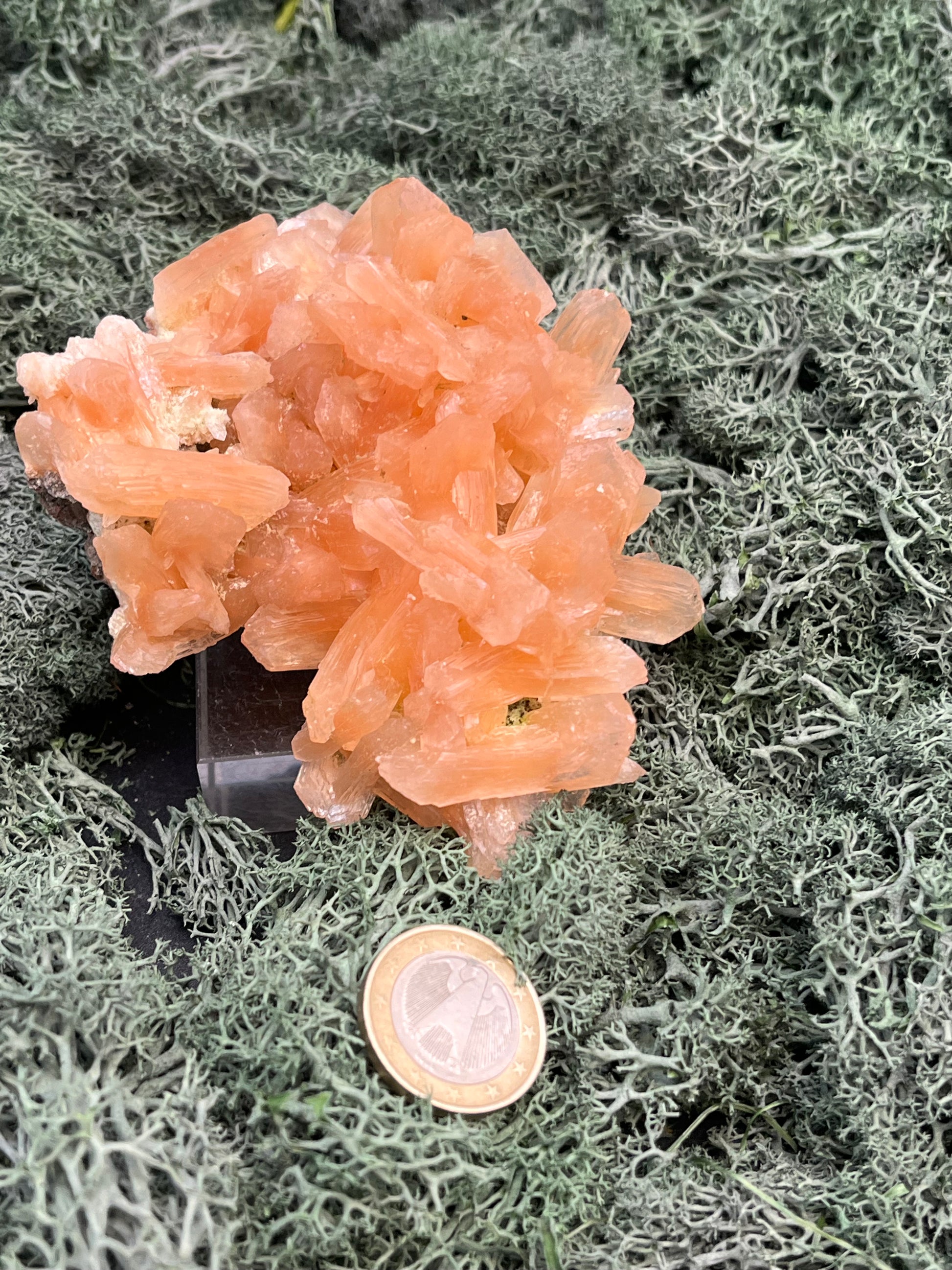 Stilbit Cluster Handstufe auf Zeolith aus Indien (195g) - viele grosse Kristalle - crystal paradise