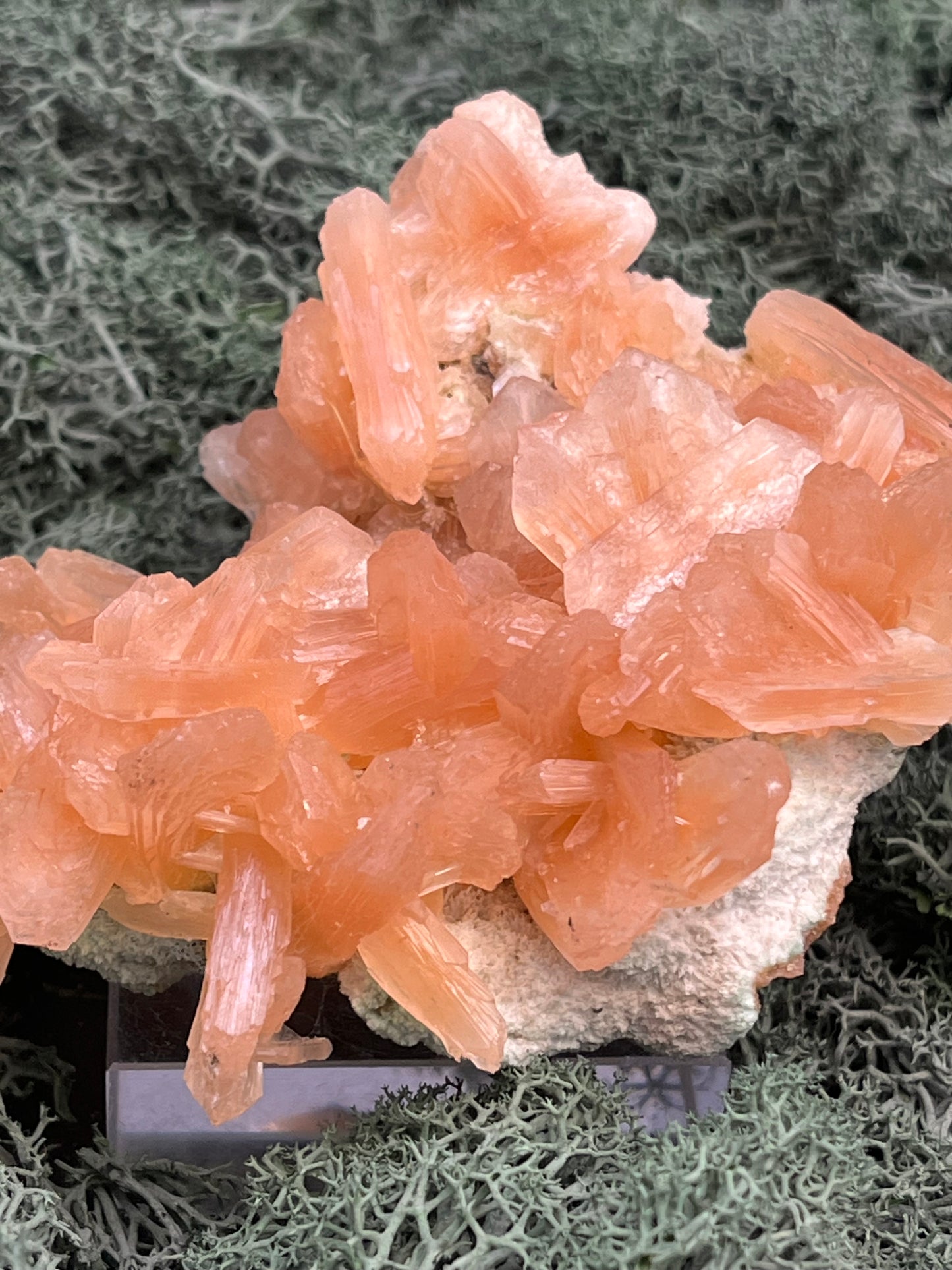 Stilbit Cluster Handstufe auf Zeolith aus Indien (195g) - viele grosse Kristalle - crystal paradise