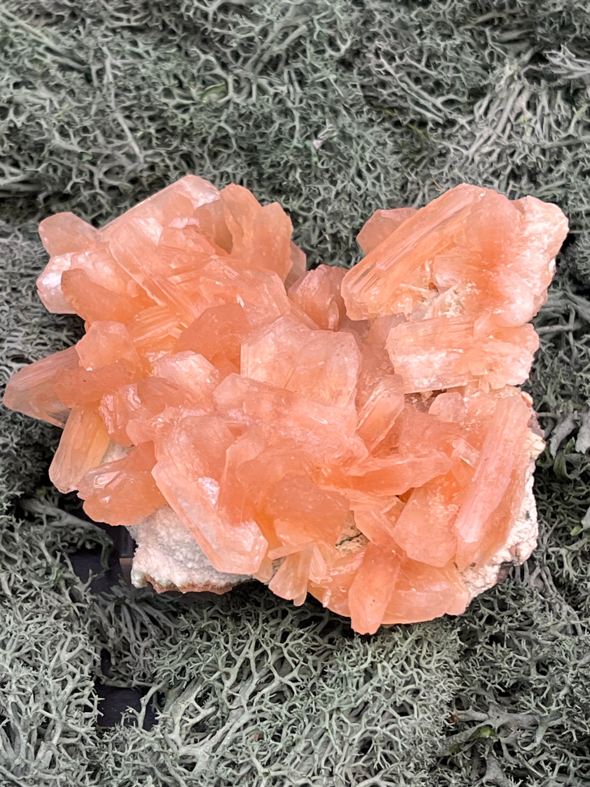 Stilbit Cluster Handstufe auf Zeolith aus Indien (195g) - viele grosse Kristalle - crystal paradise