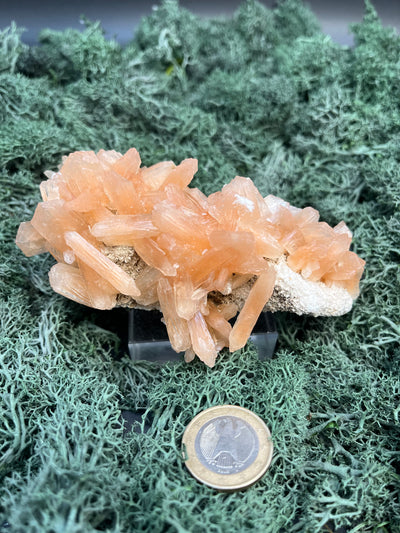 Stilbit Cluster Handstufe auf Zeolith aus Indien (203g) - viele grosse Kristalle - crystal paradise