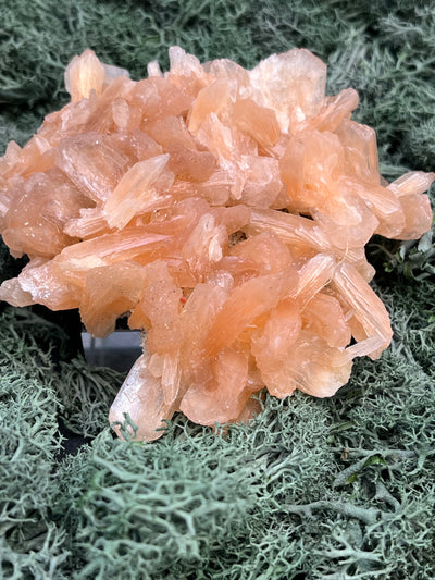 Stilbit Cluster Handstufe auf Zeolith aus Indien (147g) - viele grosse Kristalle - crystal paradise