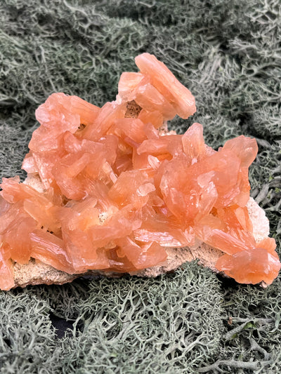 Stilbit Cluster Handstufe auf Zeolith aus Indien (164g) - viele grosse Kristalle - crystal paradise