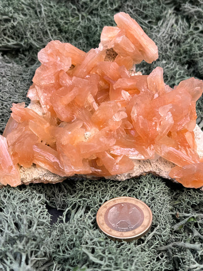 Stilbit Cluster Handstufe auf Zeolith aus Indien (164g) - viele grosse Kristalle - crystal paradise