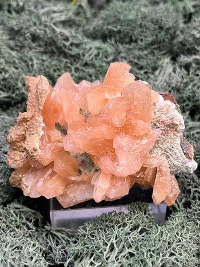 Stilbit Cluster Handstufe auf Zeolith aus Indien (164g) - viele grosse Kristalle - crystal paradise