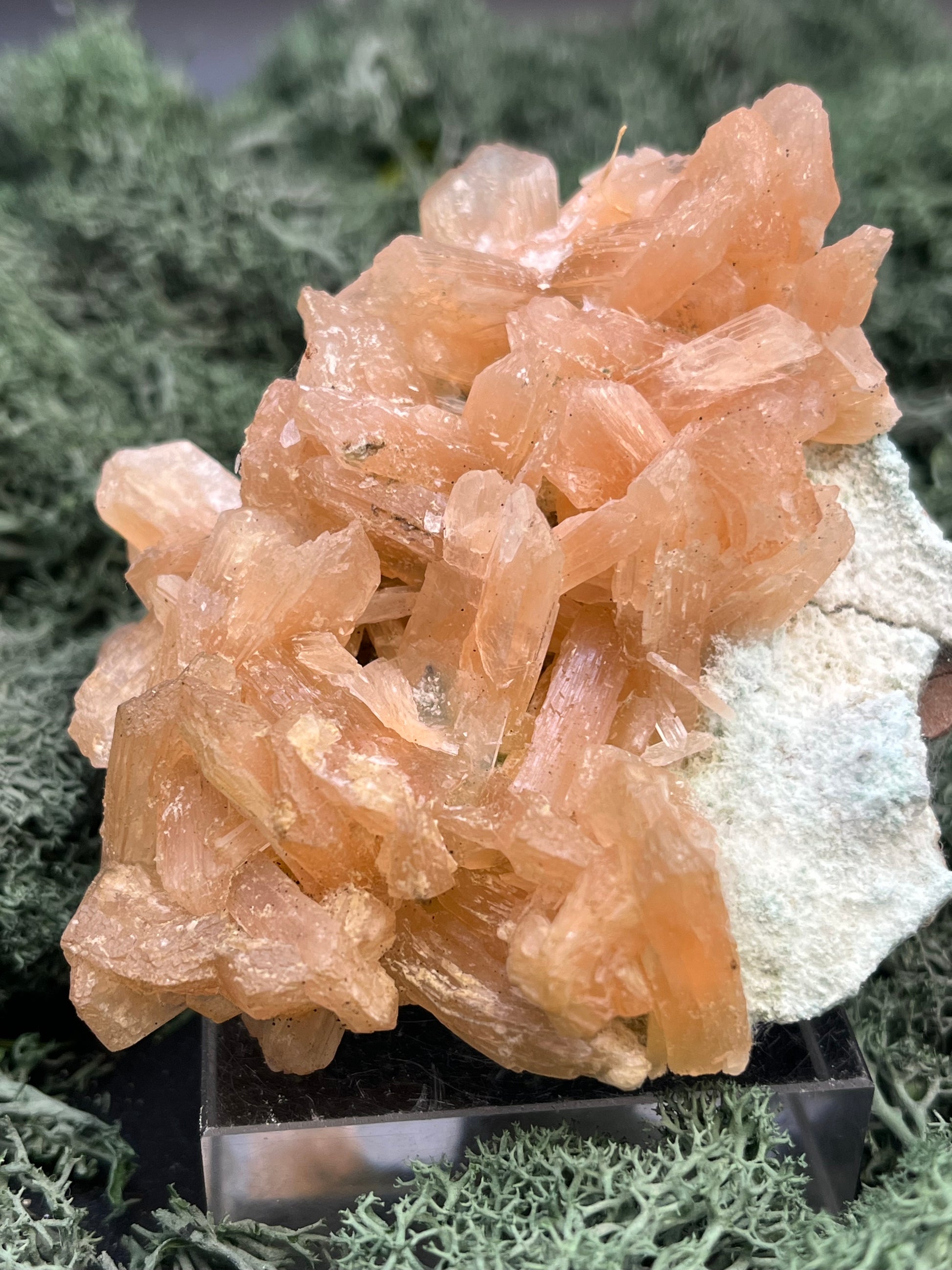 Stilbit Cluster Handstufe auf Zeolith aus Indien (194g) - viele grosse Kristalle - crystal paradise