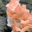 Stilbit Cluster Handstufe auf Zeolith aus Indien (194g) - viele grosse Kristalle - crystal paradise