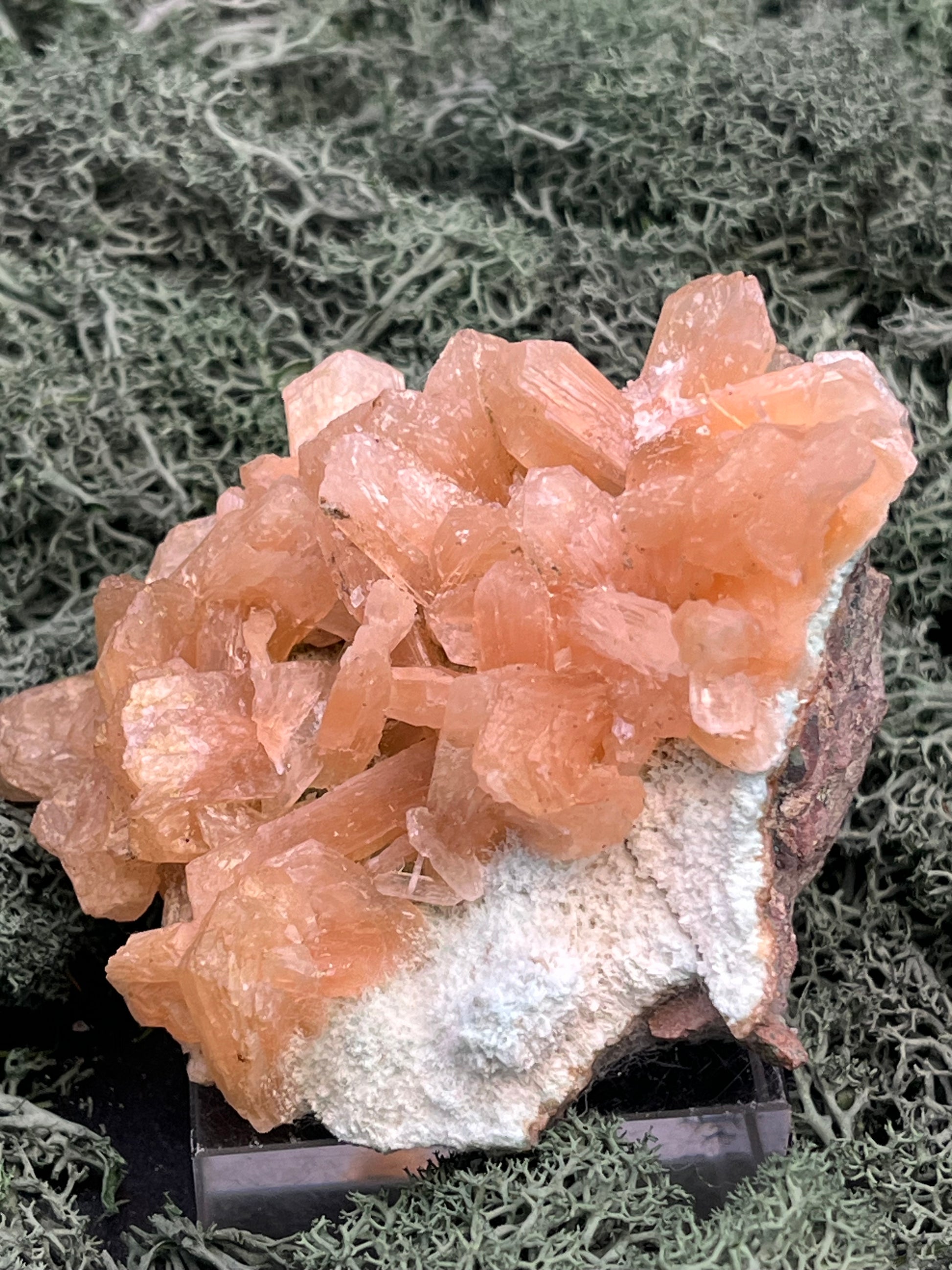 Stilbit Cluster Handstufe auf Zeolith aus Indien (194g) - viele grosse Kristalle - crystal paradise