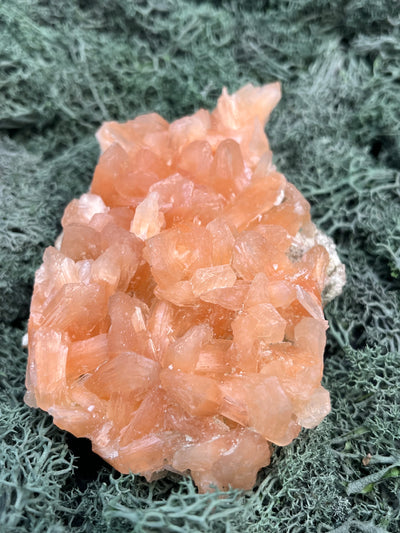 Stilbit Cluster Handstufe auf Zeolith aus Indien (131g) - viele grosse Kristalle - crystal paradise