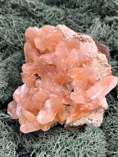 Stilbit Cluster Handstufe auf Zeolith aus Indien (180g) - viele grosse Kristalle - crystal paradise