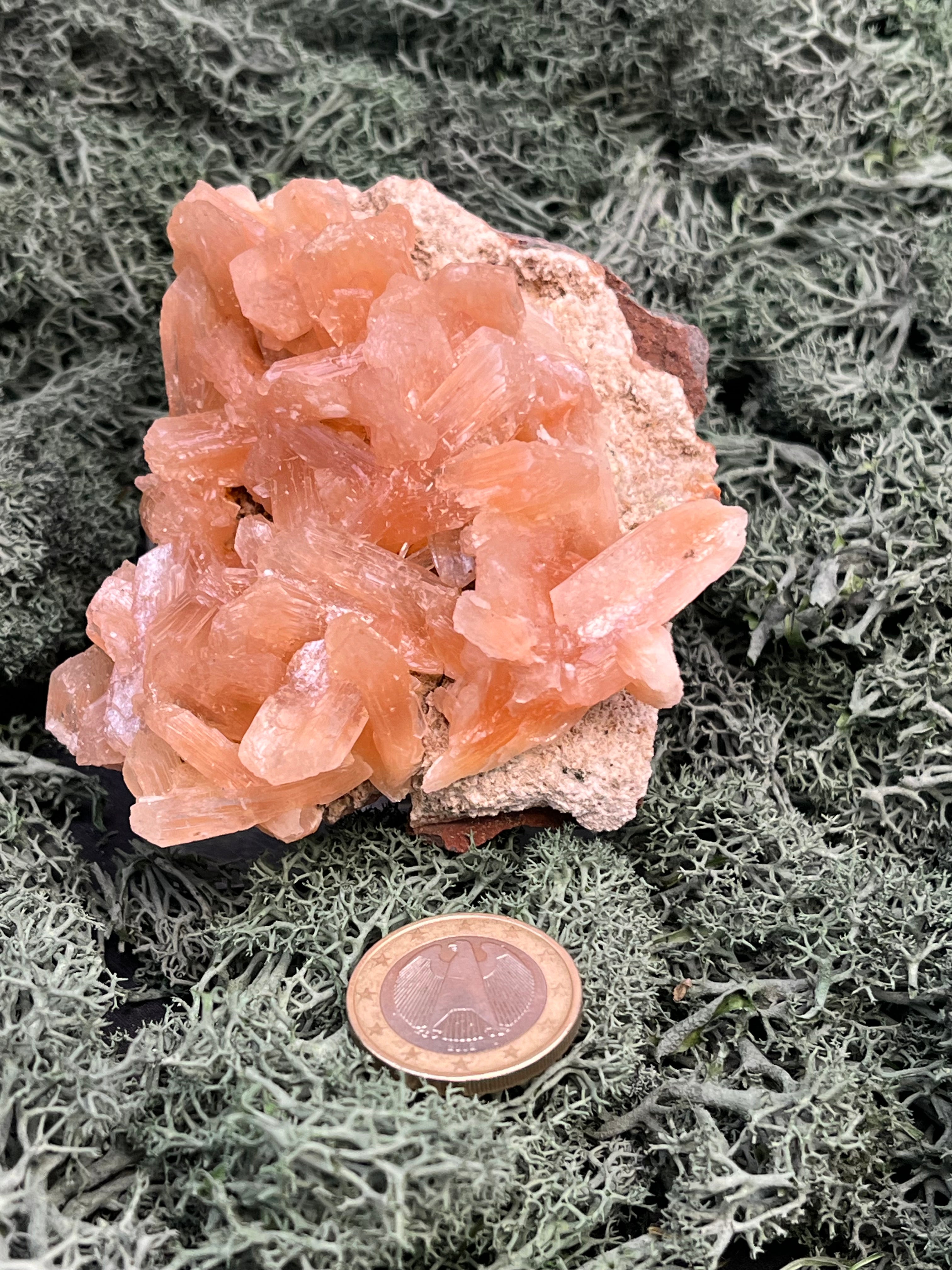 Stilbit Cluster Handstufe auf Zeolith aus Indien (180g) - viele grosse Kristalle - crystal paradise