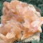 Stilbit Cluster Handstufe auf Zeolith aus Indien (180g) - viele grosse Kristalle - crystal paradise