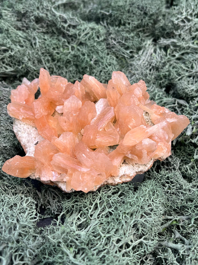 Stilbit Cluster Handstufe auf Zeolith aus Indien (121g) - viele grosse Kristalle - crystal paradise