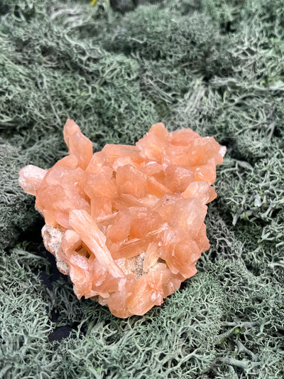 Stilbit Cluster Handstufe auf Zeolith aus Indien (121g) - viele grosse Kristalle - crystal paradise