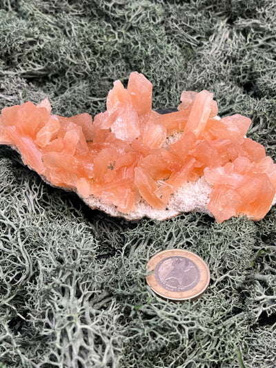 Stilbit Cluster Handstufe auf Zeolith aus Indien (110g) - viele grosse Kristalle - crystal paradise