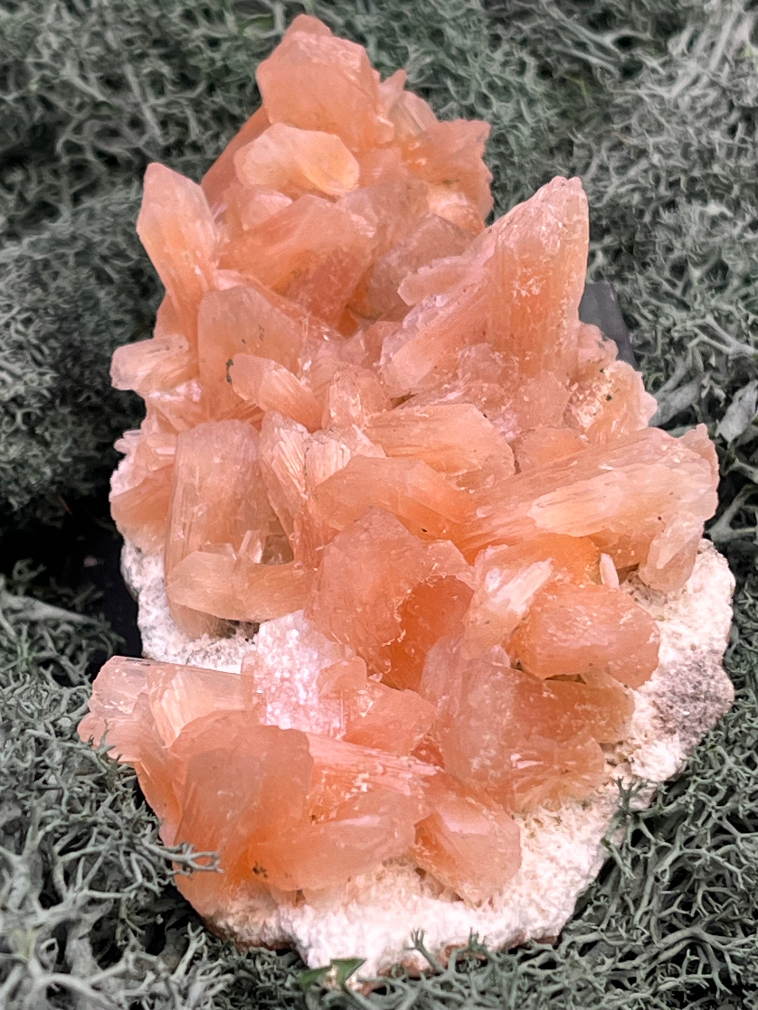 Stilbit Cluster Handstufe auf Zeolith aus Indien (110g) - viele grosse Kristalle - crystal paradise