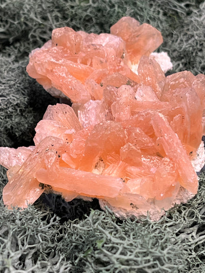 Stilbit Cluster Handstufe auf Zeolith aus Indien (100g) - viele grosse Kristalle - crystal paradise