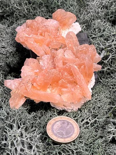 Stilbit Cluster Handstufe auf Zeolith aus Indien (100g) - viele grosse Kristalle - crystal paradise