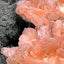 Stilbit Cluster Handstufe auf Zeolith aus Indien (100g) - viele grosse Kristalle - crystal paradise