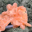 Stilbit Cluster Handstufe auf Zeolith aus Indien (100g) - viele grosse Kristalle - crystal paradise