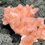 Stilbit Cluster Handstufe auf Zeolith aus Indien (100g) - viele grosse Kristalle - crystal paradise