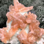 Stilbit Cluster Handstufe auf Zeolith aus Indien (113g) - viele grosse Kristalle - crystal paradise