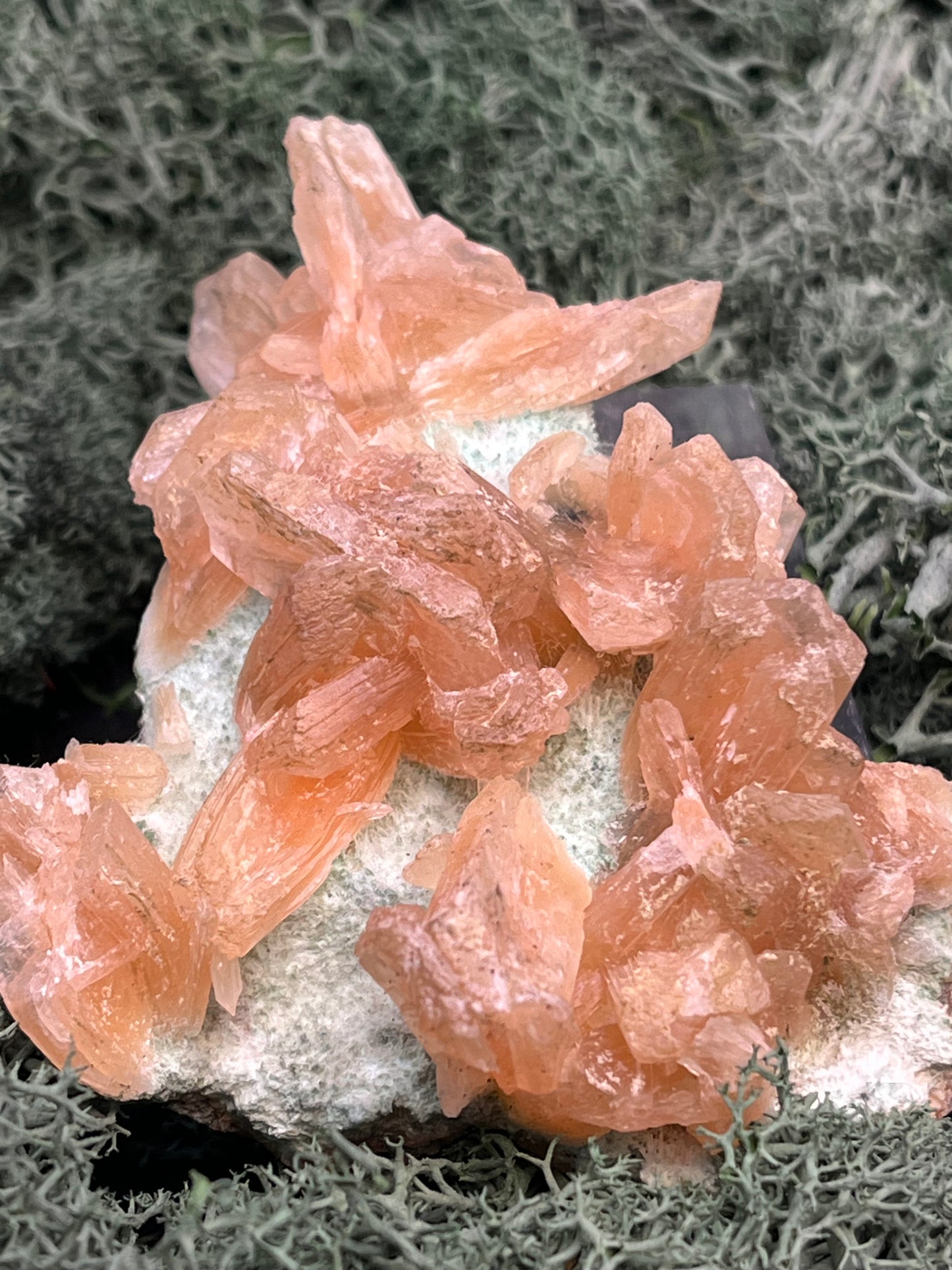 Stilbit Cluster Handstufe auf Zeolith aus Indien (113g) - viele grosse Kristalle - crystal paradise