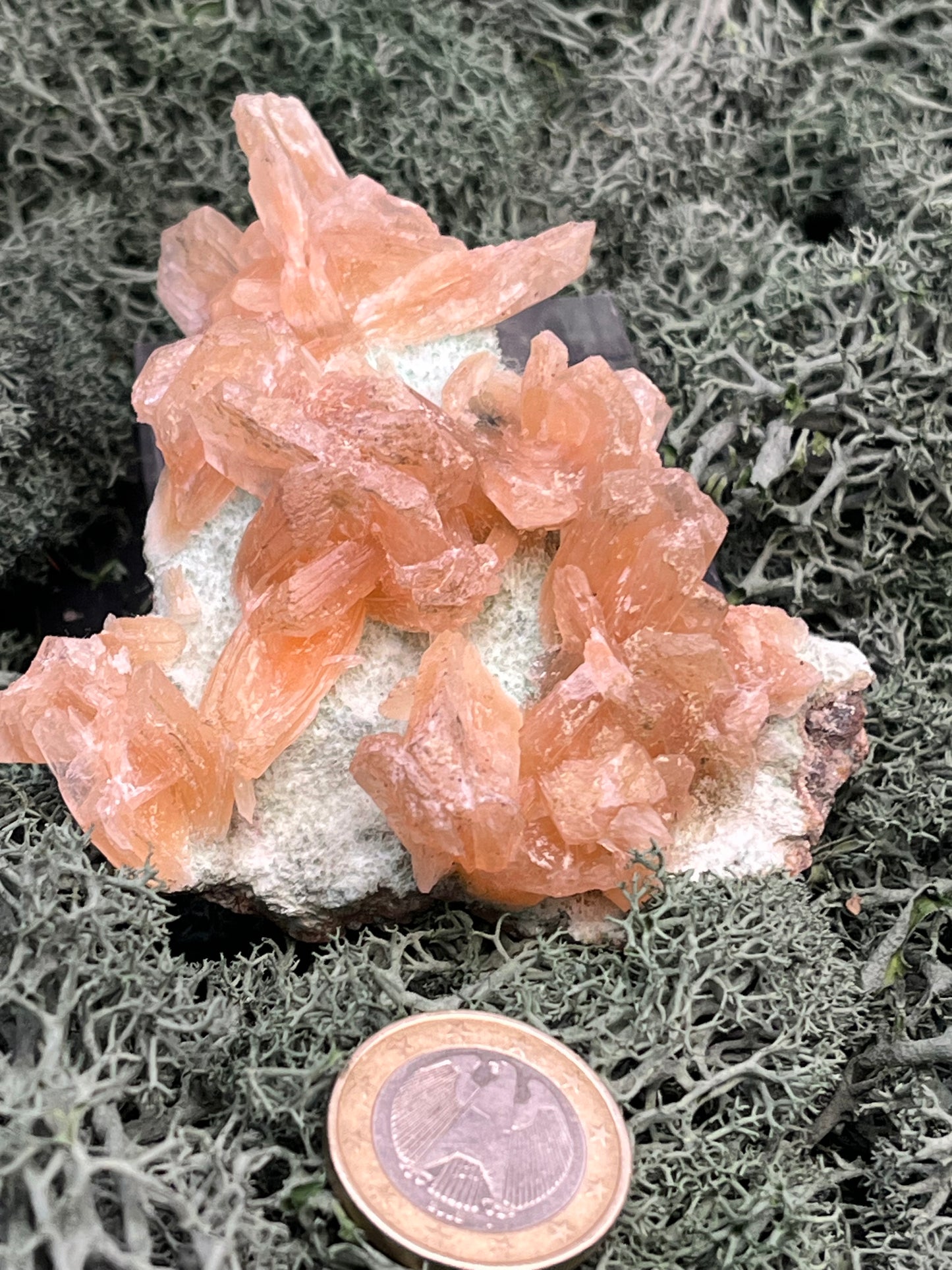 Stilbit Cluster Handstufe auf Zeolith aus Indien (113g) - viele grosse Kristalle - crystal paradise