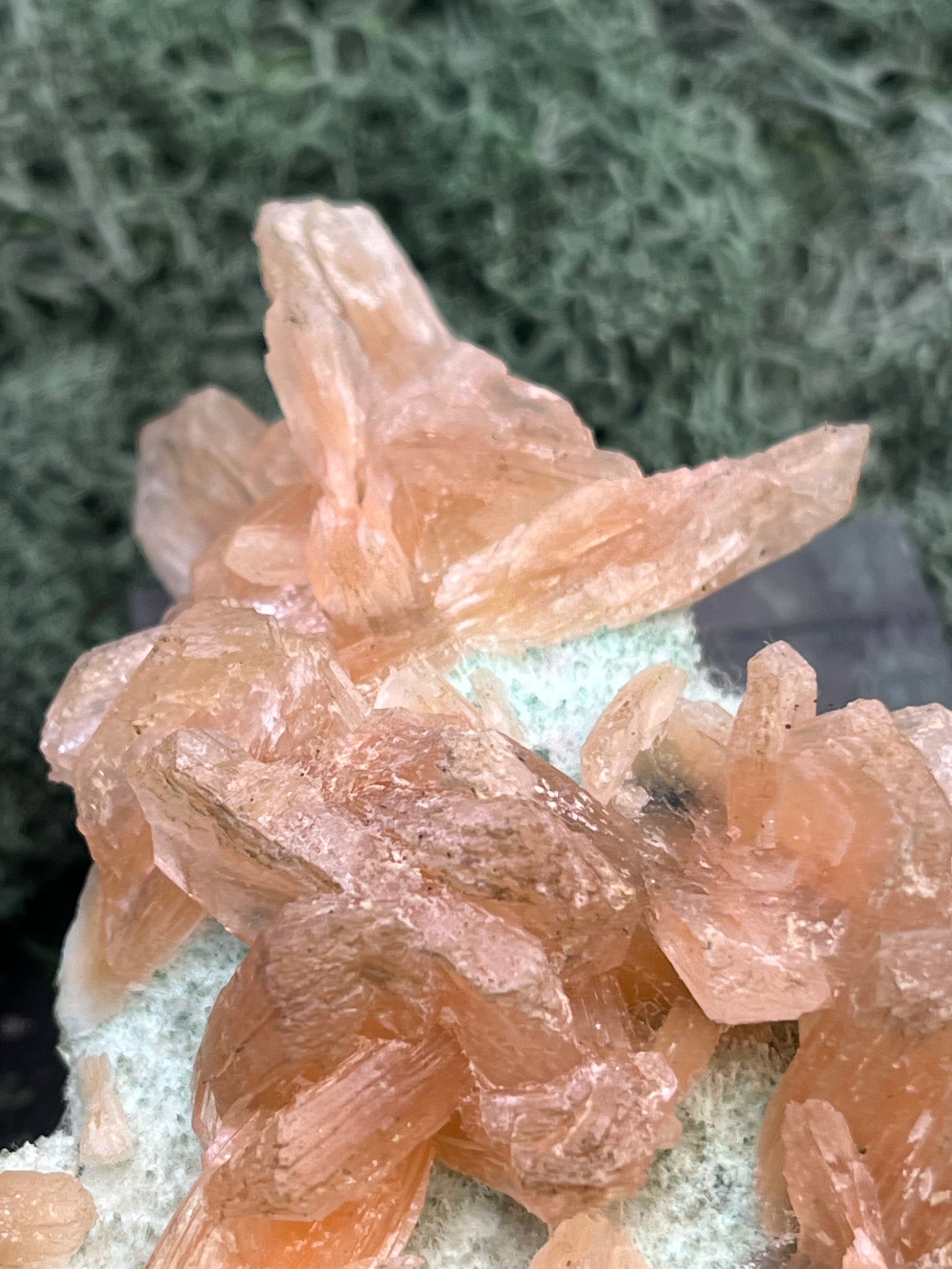 Stilbit Cluster Handstufe auf Zeolith aus Indien (113g) - viele grosse Kristalle - crystal paradise