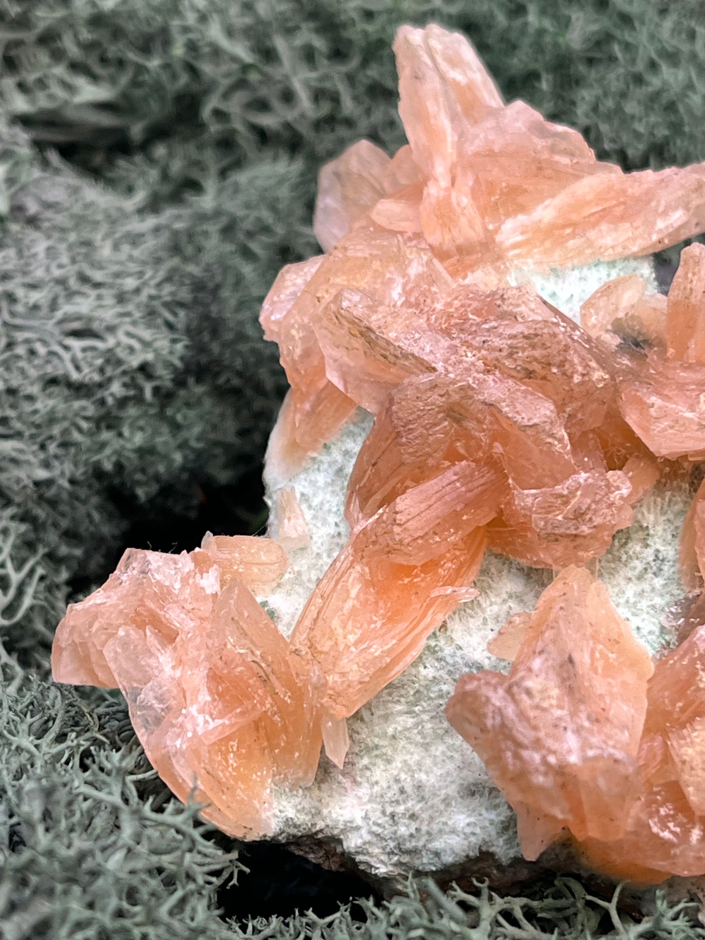 Stilbit Cluster Handstufe auf Zeolith aus Indien (113g) - viele grosse Kristalle - crystal paradise