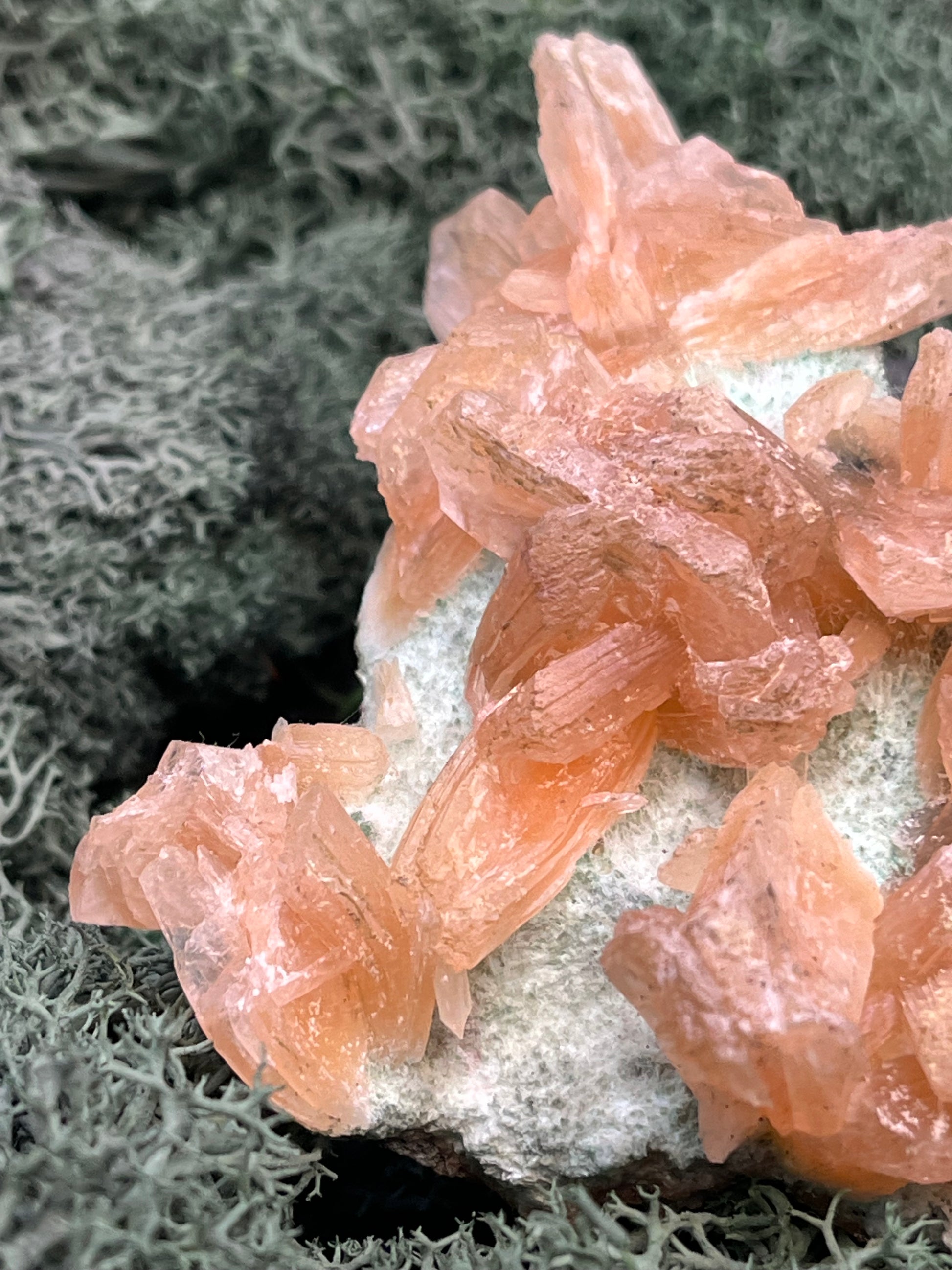 Stilbit Cluster Handstufe auf Zeolith aus Indien (113g) - viele grosse Kristalle - crystal paradise