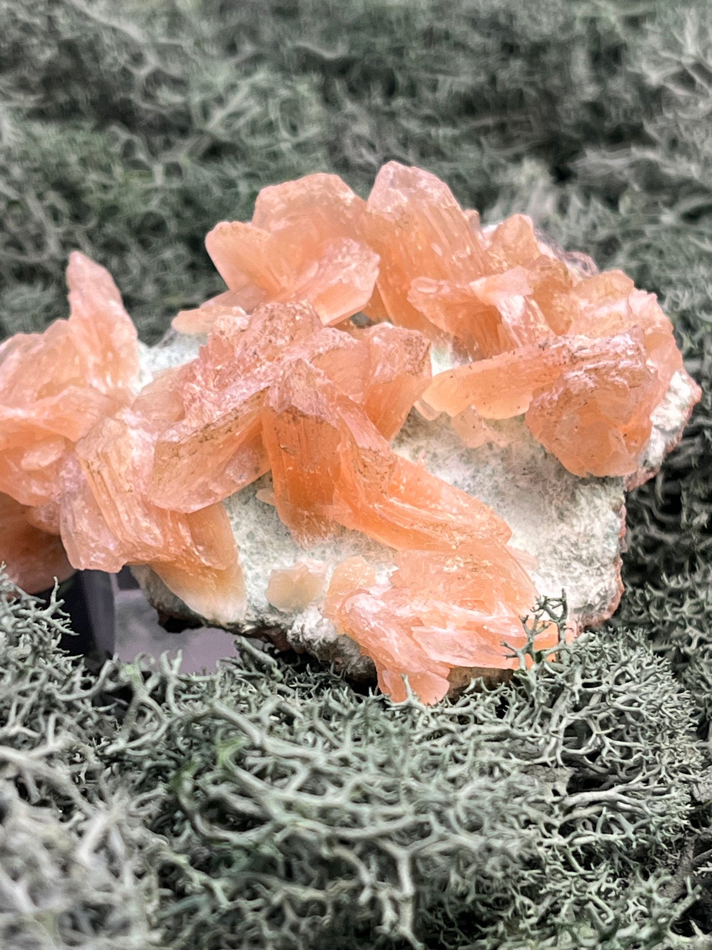 Stilbit Cluster Handstufe auf Zeolith aus Indien (113g) - viele grosse Kristalle - crystal paradise