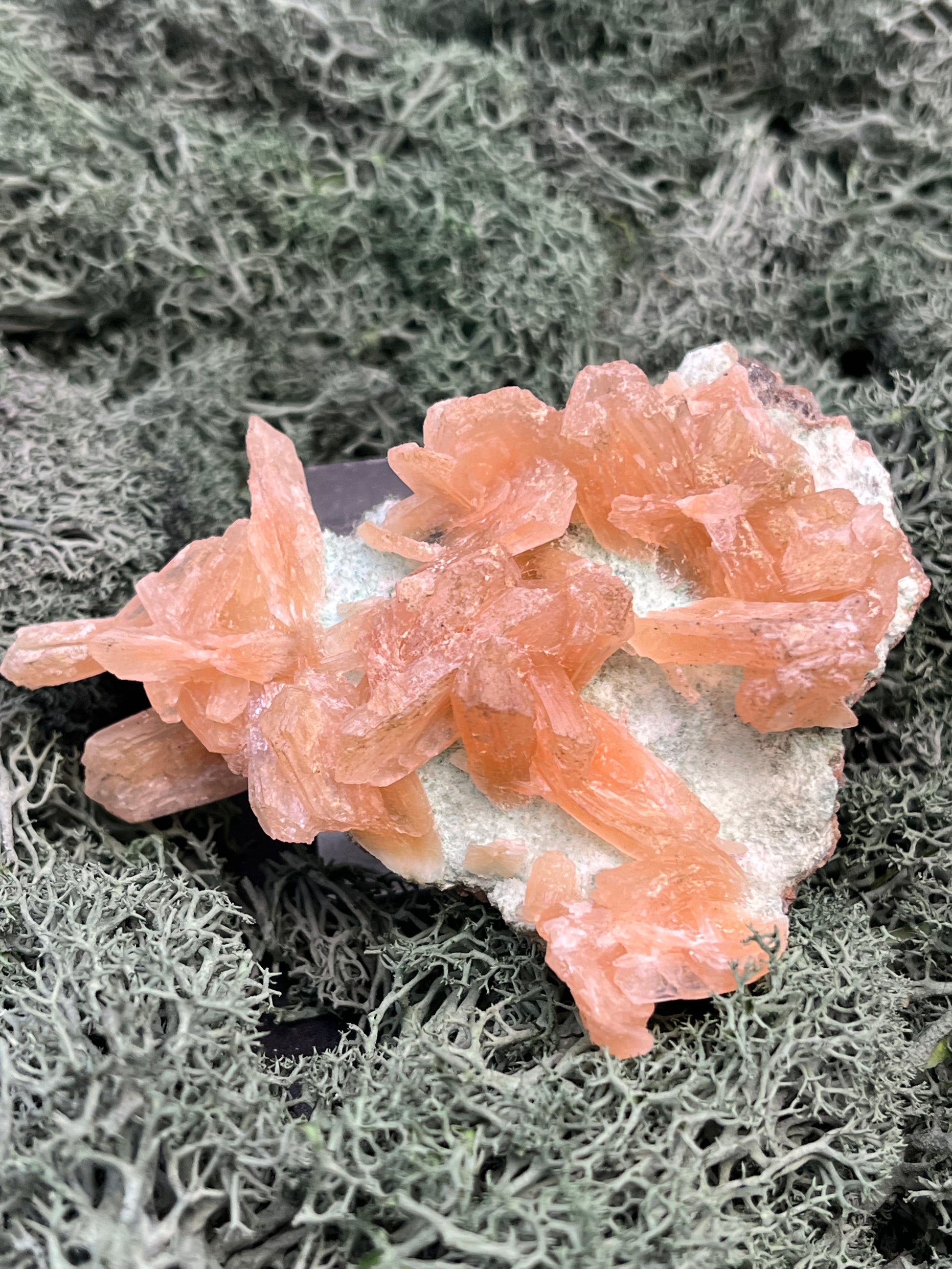 Stilbit Cluster Handstufe auf Zeolith aus Indien (113g) - viele grosse Kristalle - crystal paradise