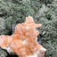 Stilbit Cluster Handstufe auf Zeolith aus Indien (113g) - viele grosse Kristalle - crystal paradise