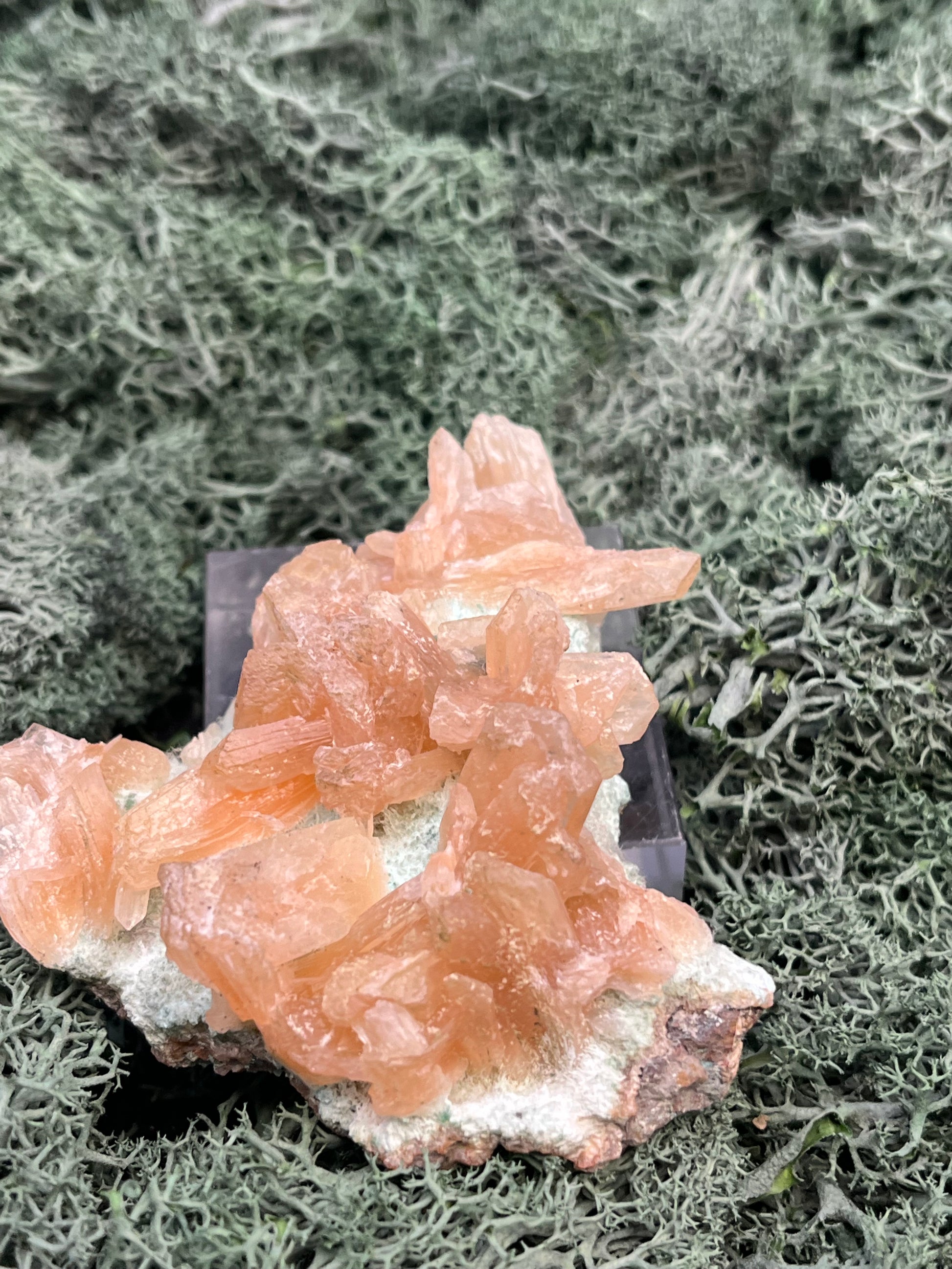 Stilbit Cluster Handstufe auf Zeolith aus Indien (113g) - viele grosse Kristalle - crystal paradise