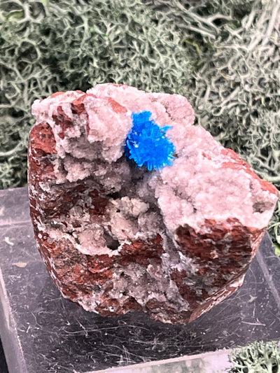 Canvansit auf Stilbit aus Poonah Indien (56g) - Stufe - tolle Kristallstruktur - crystal paradise