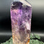 Amethyst Zepter aus Brasilien (501g) - crystal paradise