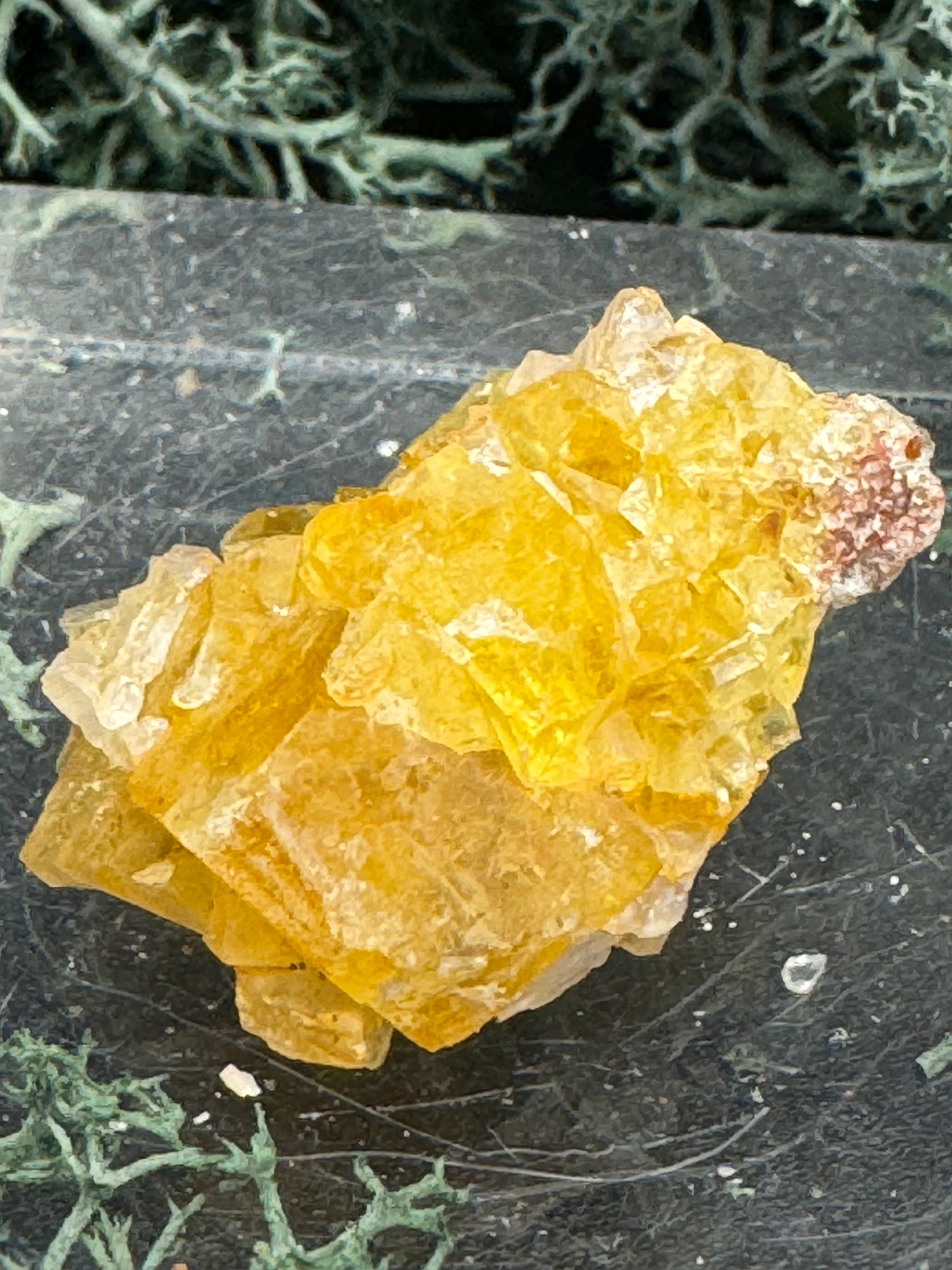 Gelber Quarz aus Marokko- 1 Stück - helle Kristalle - crystal paradise