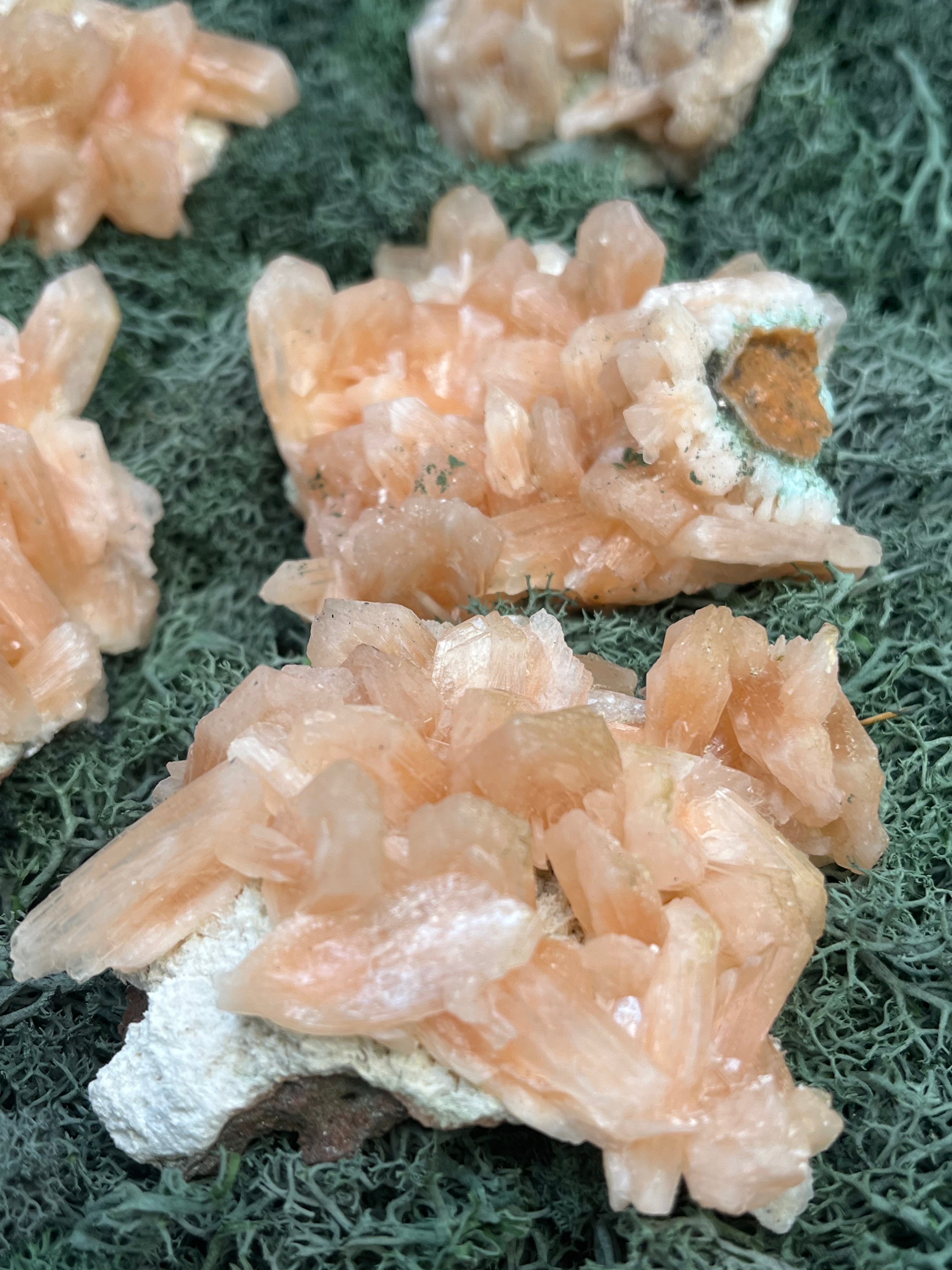 Stilbit Cluster auf Zeolith aus Indien - Handstufe  - 1 Stück - crystal paradise