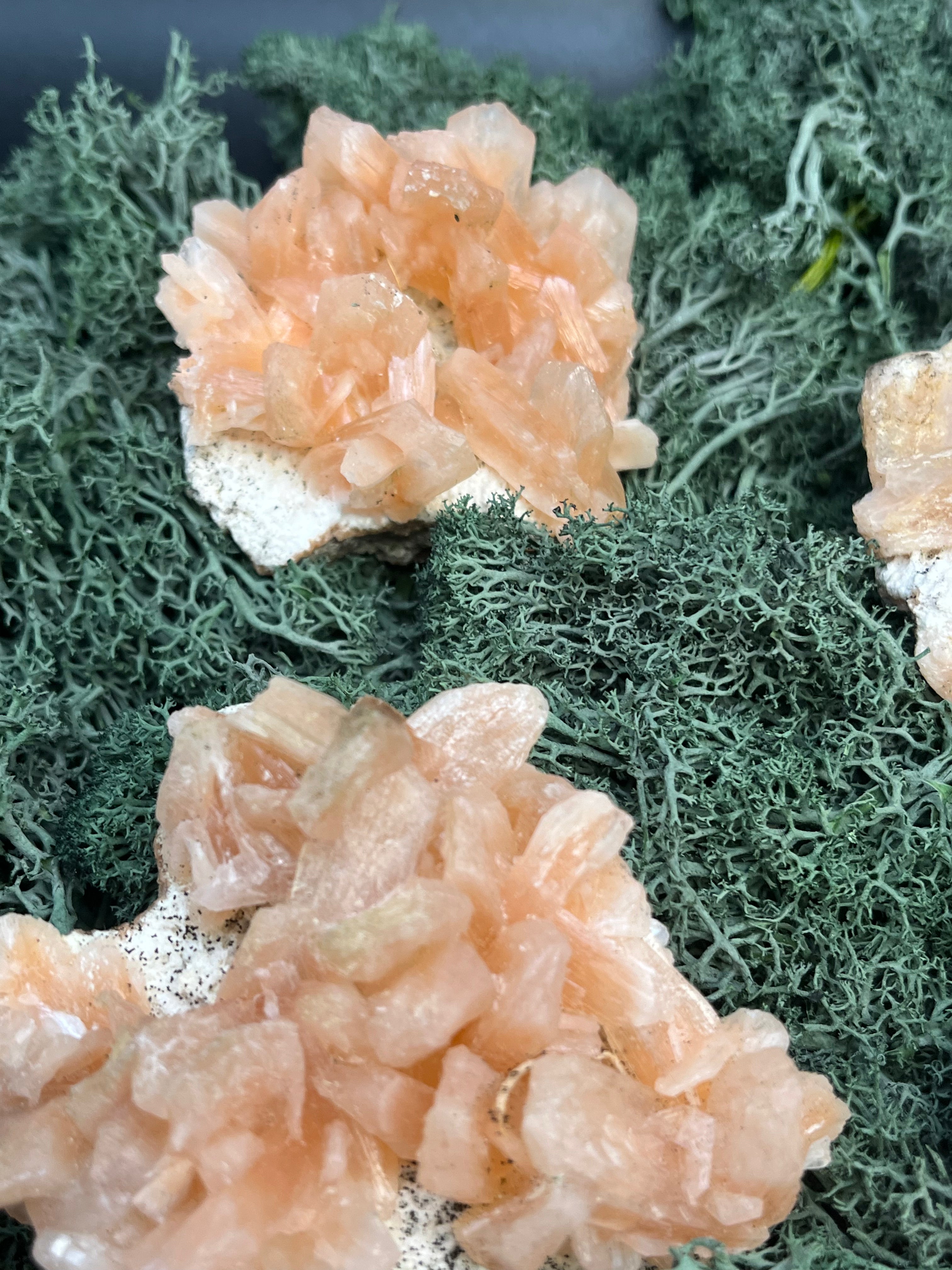 Stilbit Cluster auf Zeolith aus Indien - Handstufe  - 1 Stück - crystal paradise