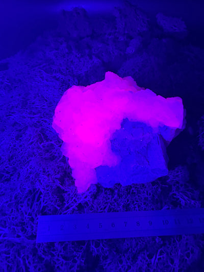 Pink Calcit Großstufe (UV Reaktiv) (1023g)-  schöne Kristallstruktur - crystal paradise