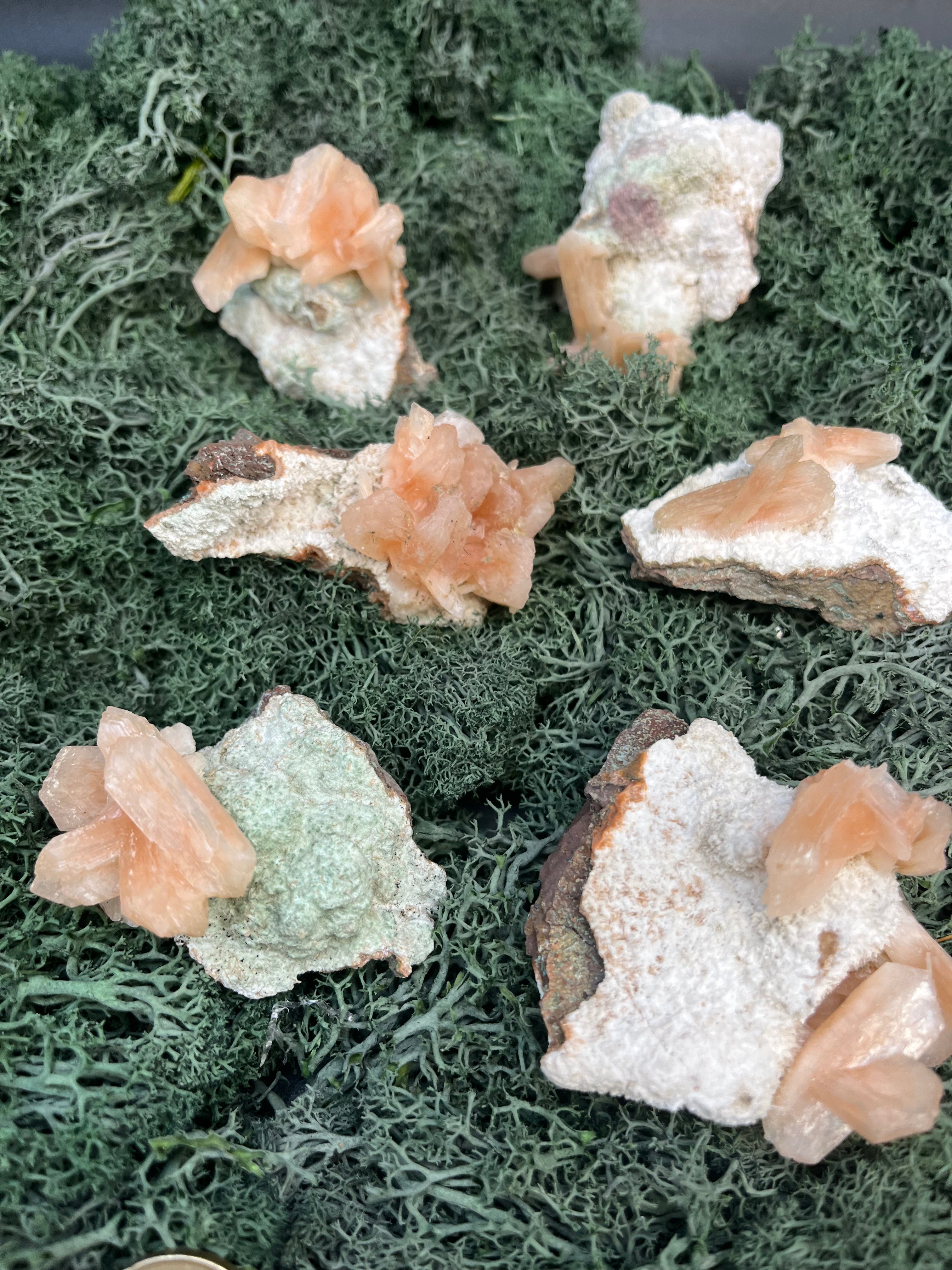Stilbit Insel auf Zeolith aus Indien - Stufe - 1 Stück - crystal paradise