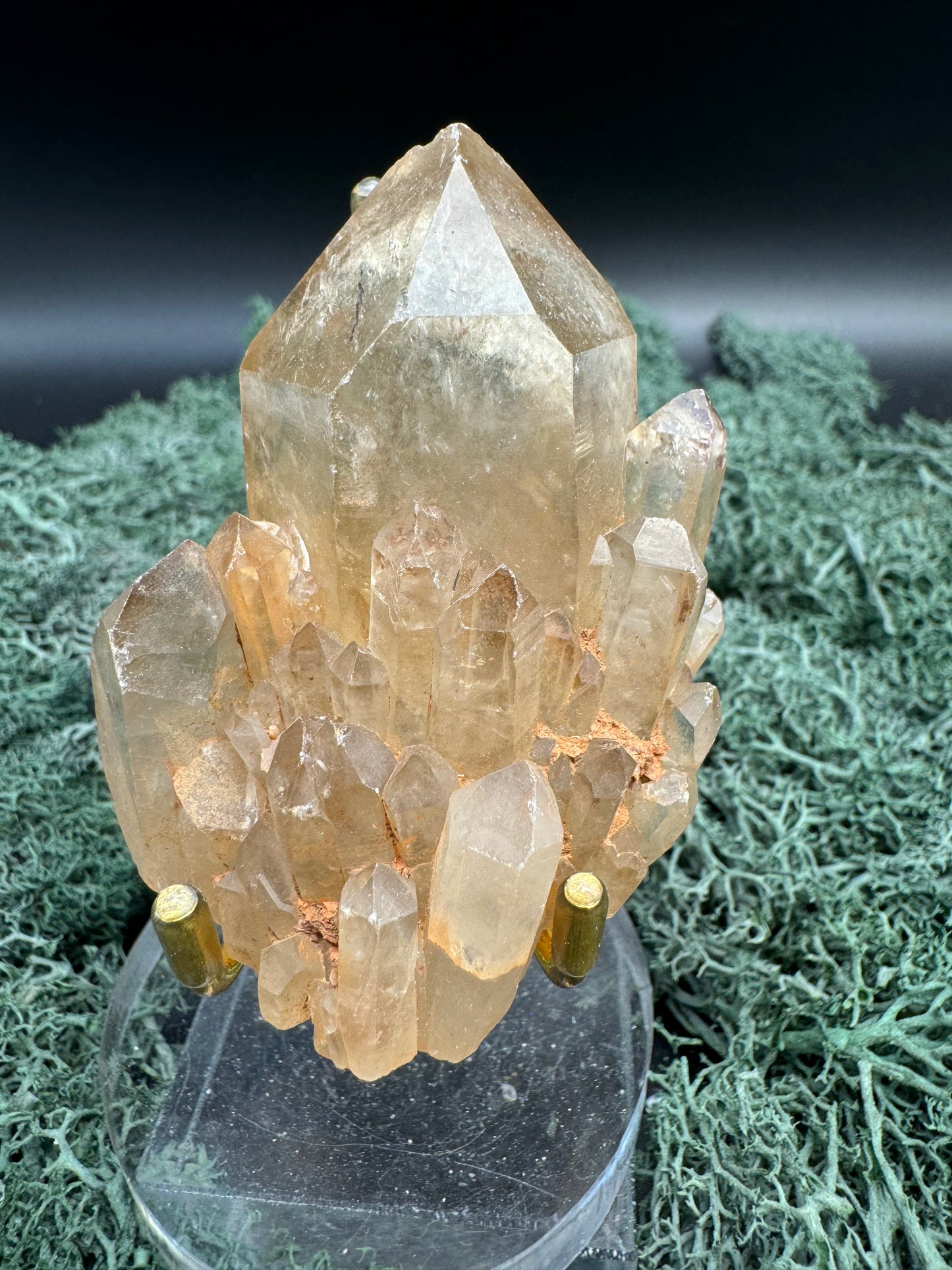 Citrin Handstufe aus Kunduluni, Kongo (143g) - schöne große klare Kristallspitze - crystal paradise