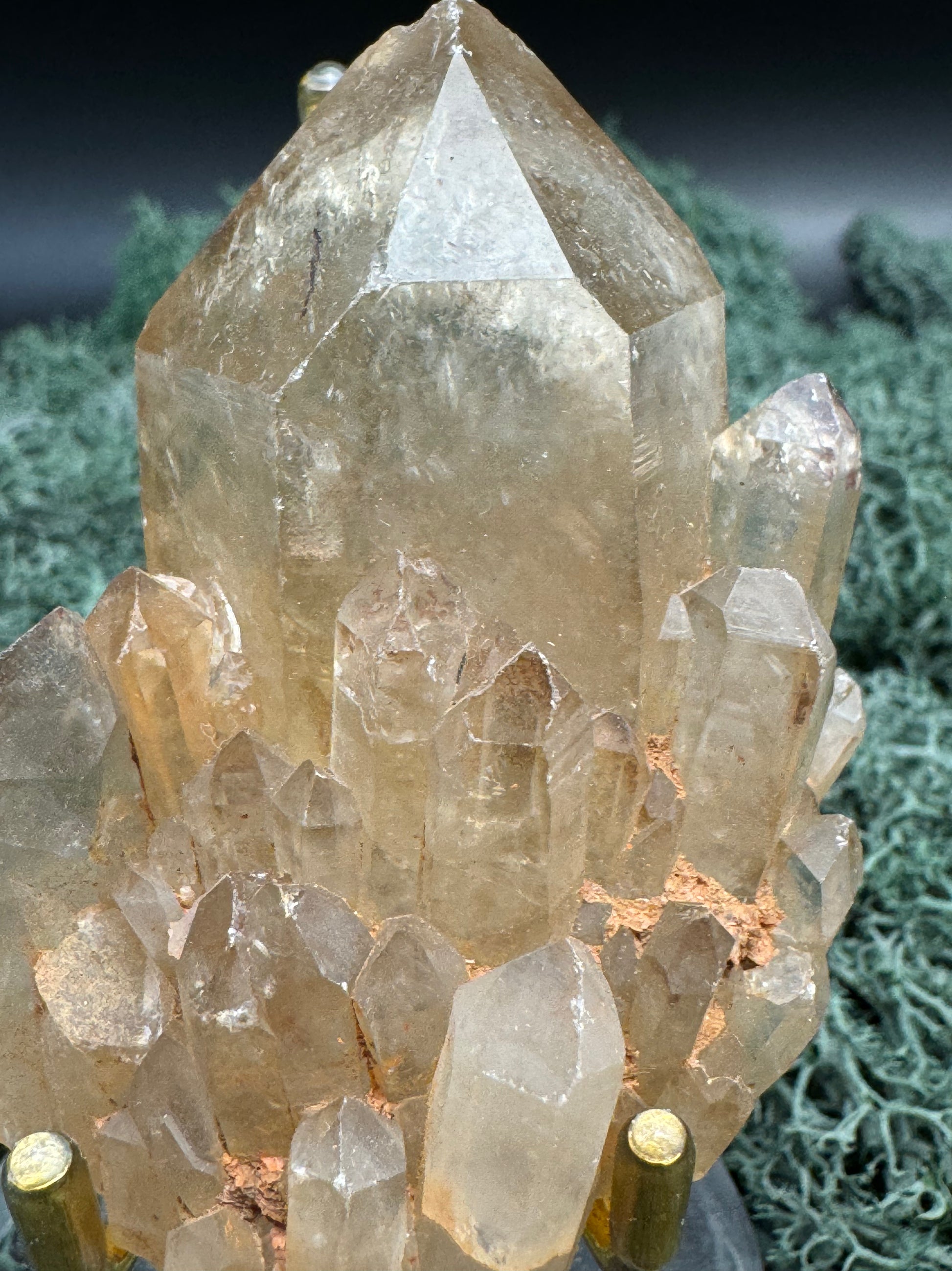 Citrin Handstufe aus Kunduluni, Kongo (143g) - schöne große klare Kristallspitze - crystal paradise