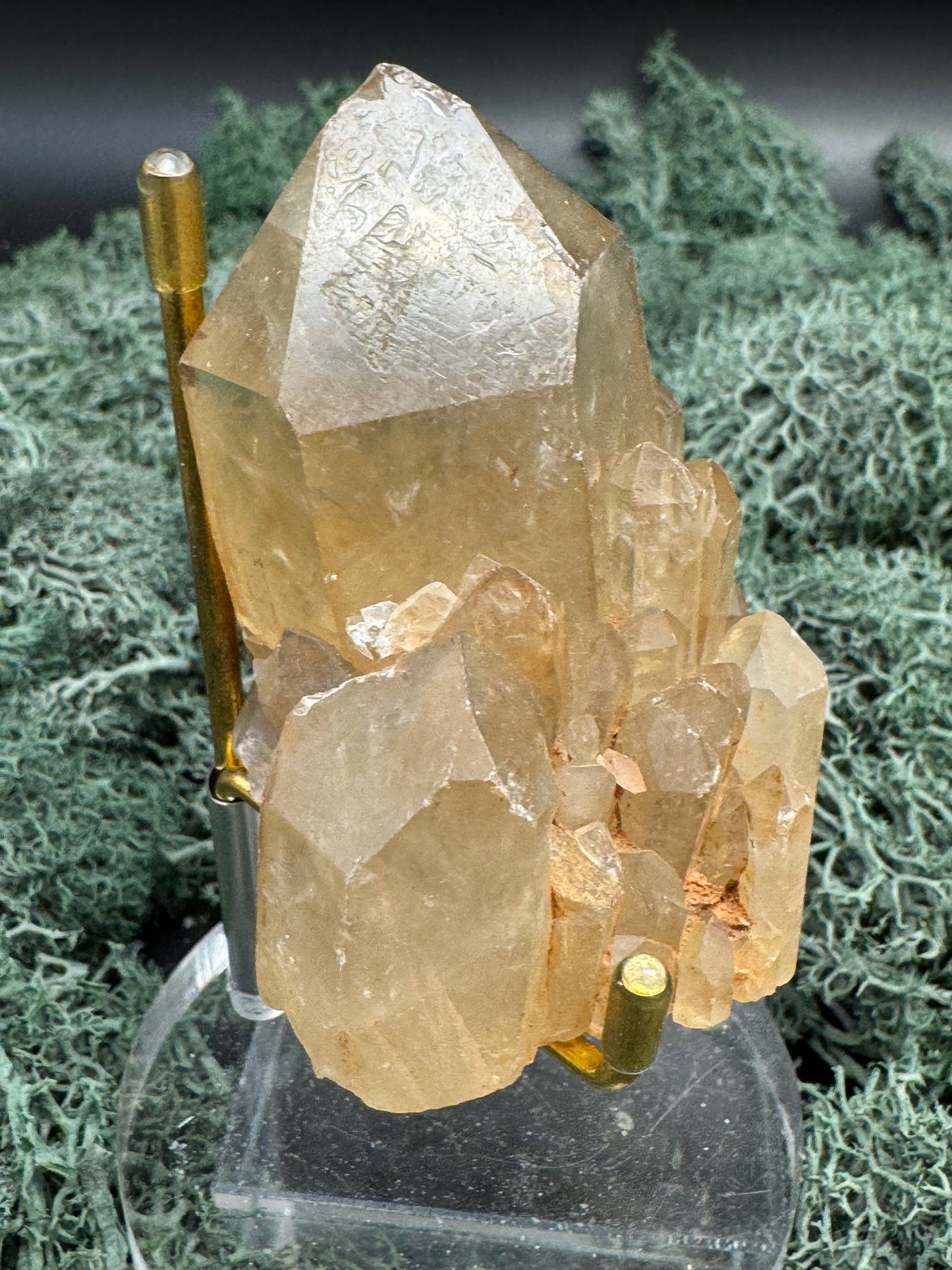 Citrin Handstufe aus Kunduluni, Kongo (143g) - schöne große klare Kristallspitze - crystal paradise