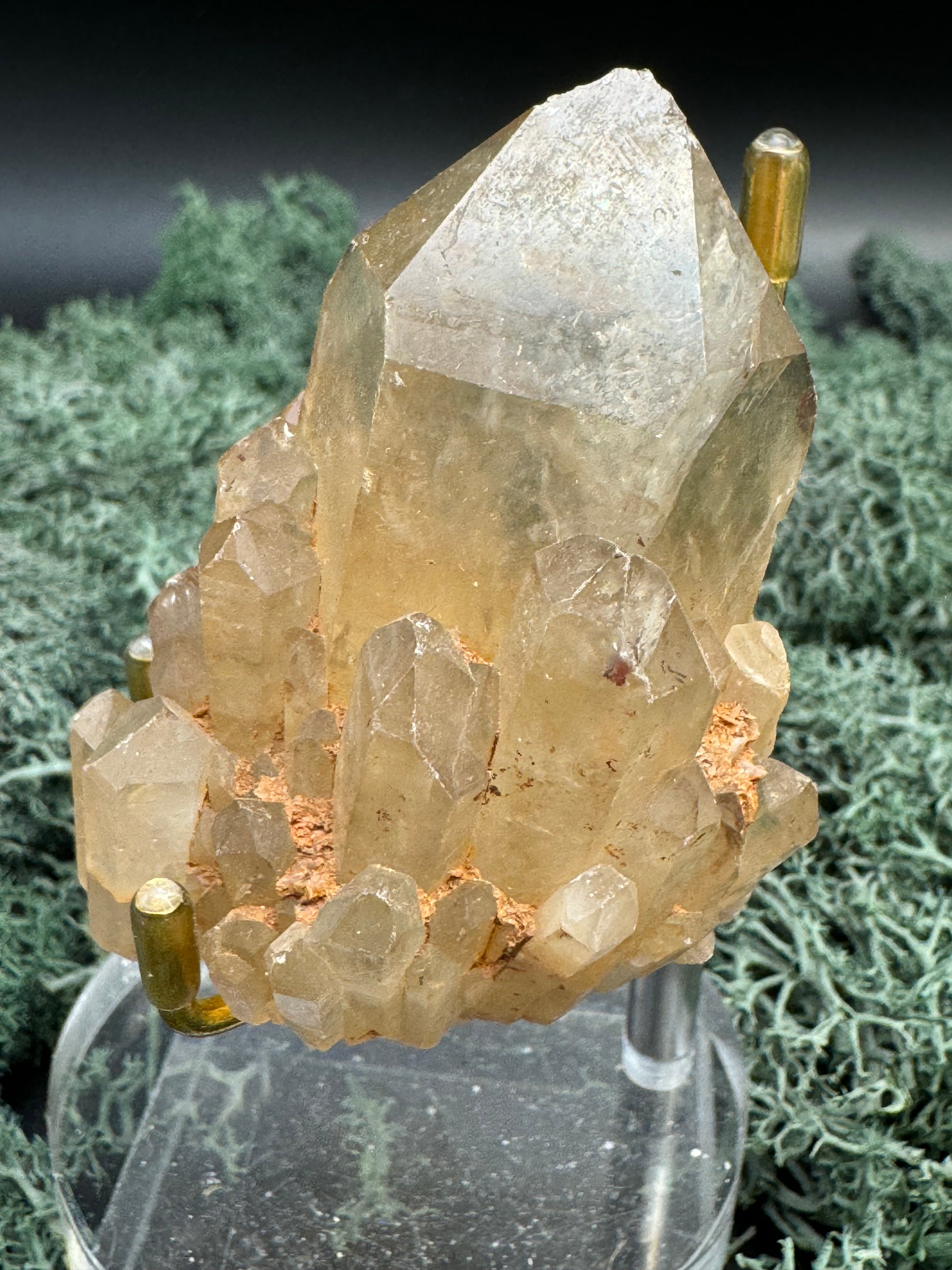 Citrin Handstufe aus Kunduluni, Kongo (143g) - schöne große klare Kristallspitze - crystal paradise