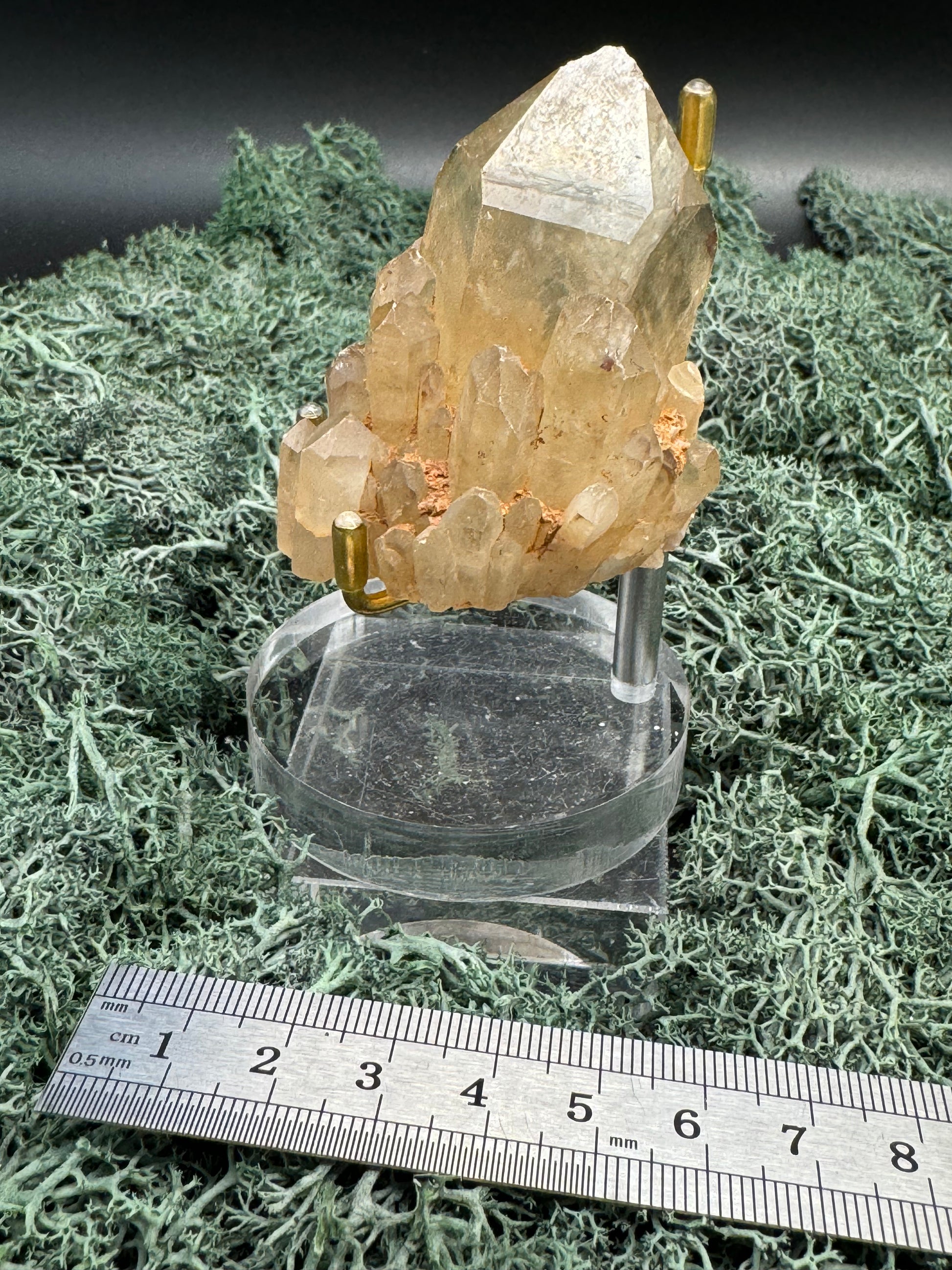 Citrin Handstufe aus Kunduluni, Kongo (143g) - schöne große klare Kristallspitze - crystal paradise