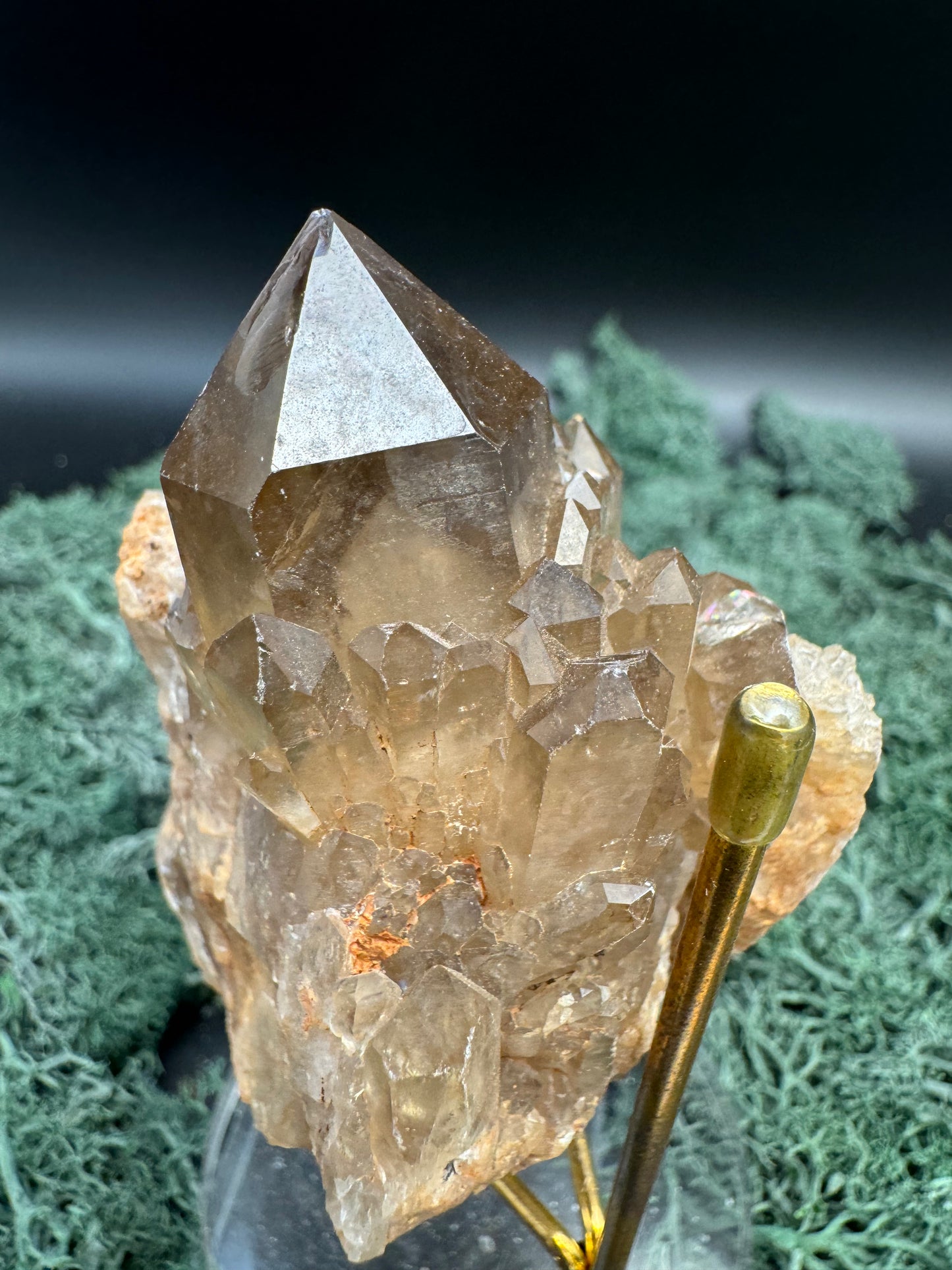 Citrin Handstufe aus Kunduluni, Kongo (327g) - schöne Kristallspitzen - crystal paradise