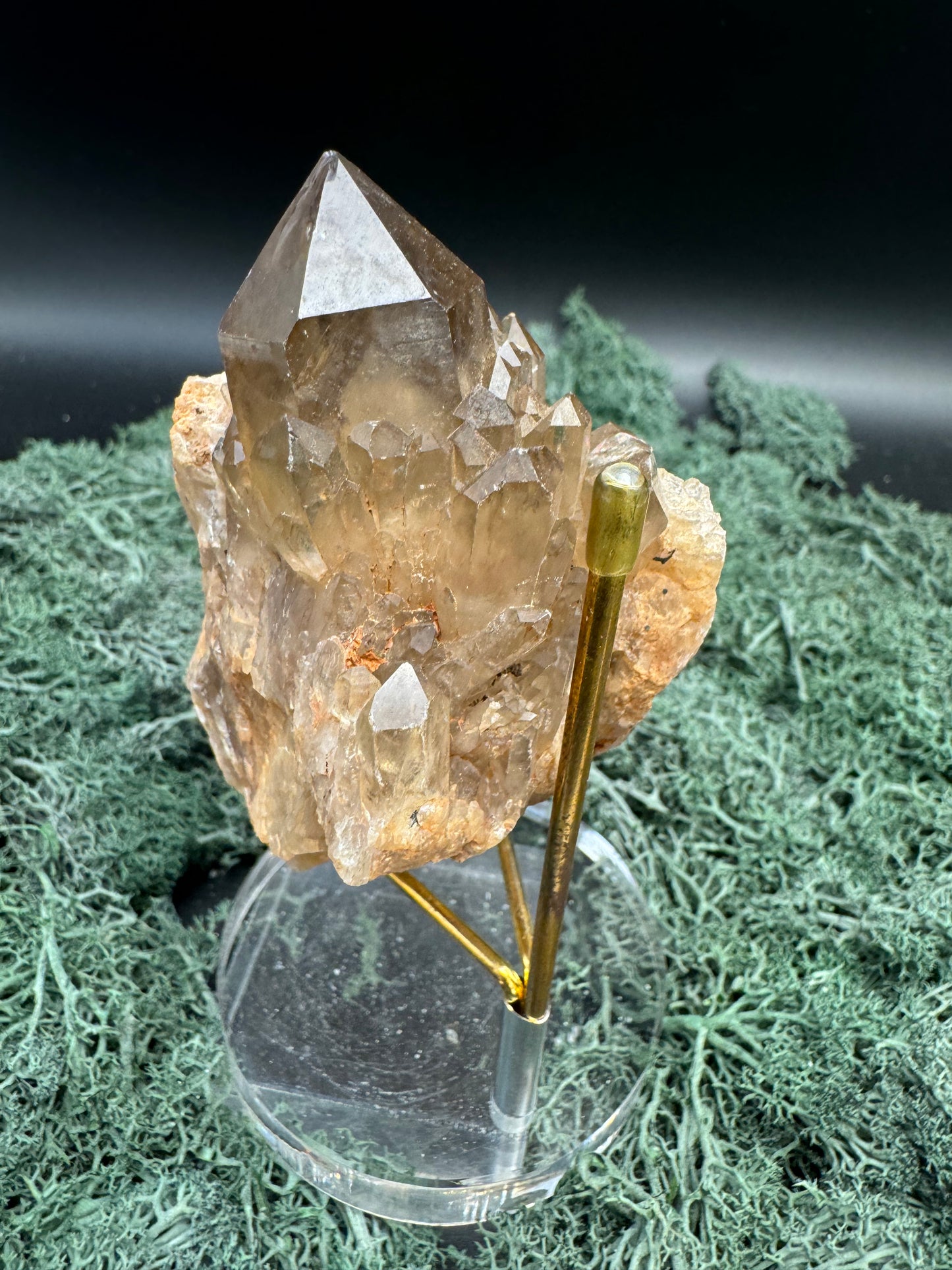 Citrin Handstufe aus Kunduluni, Kongo (327g) - schöne Kristallspitzen - crystal paradise