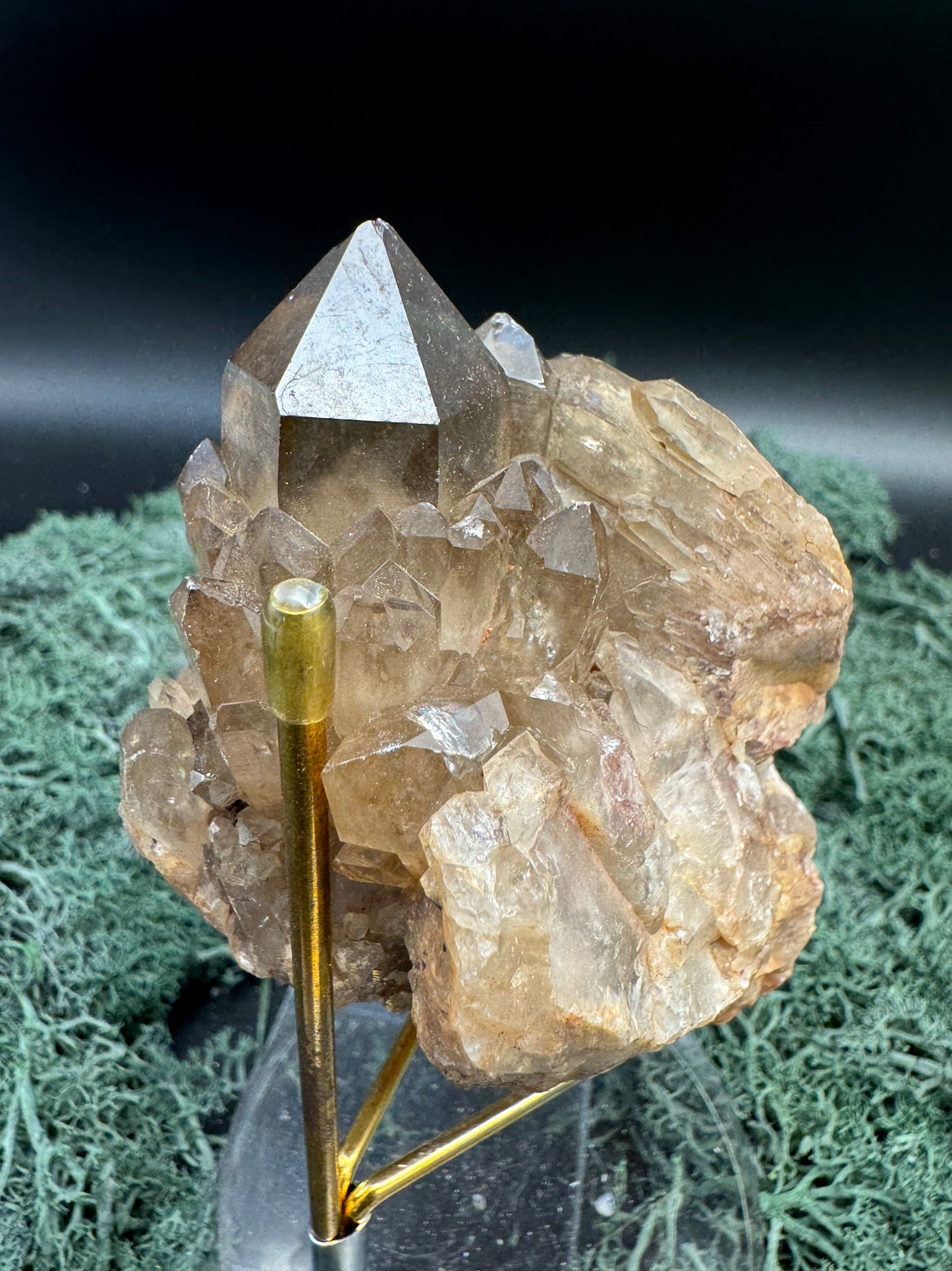 Citrin Handstufe aus Kunduluni, Kongo (327g) - schöne Kristallspitzen - crystal paradise